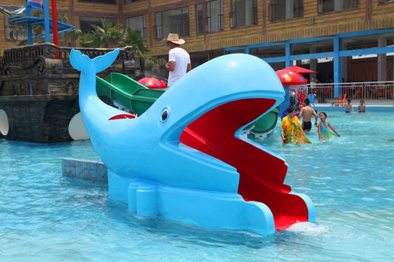 Outdoor Water Park Whales Cartoon Shape Kids Pool Whale Water Slides CE SGS VISON WATERPARKS